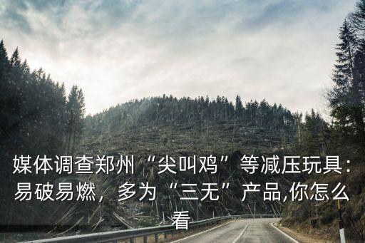 媒體調查鄭州“尖叫雞”等減壓玩具：易破易燃，多為“三無”產品,你怎么看