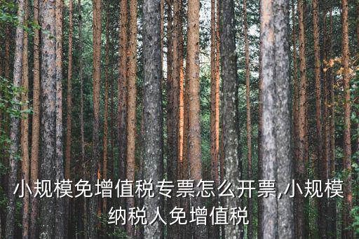 武漢小規模免增值稅專票怎么開票,小規模納稅人免增值稅