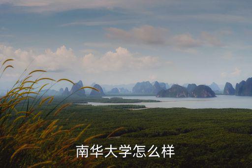 湖北南華大學研究生藝術院怎么樣,南華大學怎么樣