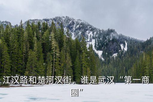 怎么投訴武漢江漢路鞋店,江漢路和楚河漢街