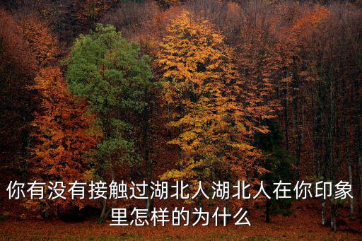 湖北漢川的女生怎么樣,外省人中的湖北人是怎樣的
