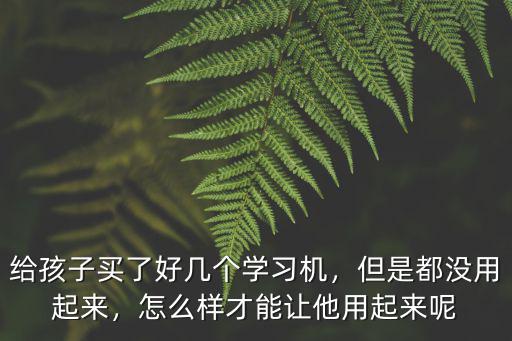 武漢學習機怎么買,給孩子買了好幾個學習機