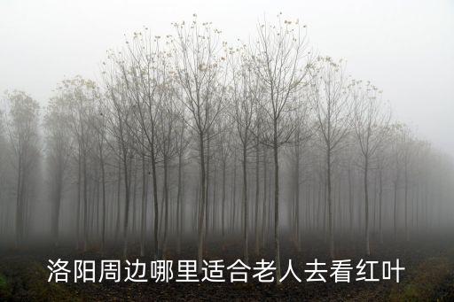 洛陽周邊哪里適合老人去看紅葉