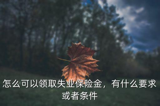 怎么可以領取失業保險金，有什么要求或者條件