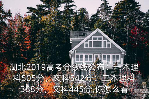 湖北2019高考分?jǐn)?shù)線公布：一本理科505分，文科542分；二本理科388分，文科445分,你怎么看