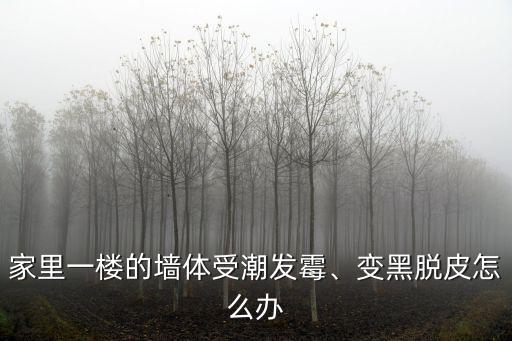 湖北一樓的房子發(fā)霉怎么辦,家里的房子是一樓