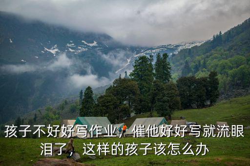 湖北那個不好好寫作業怎么辦,不好好寫作業