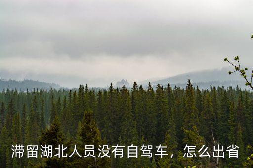 滯留湖北人員沒有自駕車，怎么出省