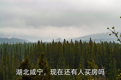 湖北咸寧，現(xiàn)在還有人買房嗎
