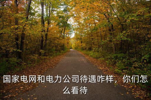 國家電網和電力公司待遇咋樣，你們怎么看待