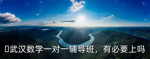 ?武漢數(shù)學(xué)一對一輔導(dǎo)班，有必要上嗎