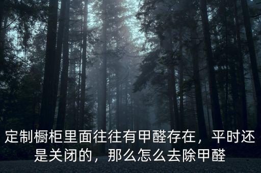 定制櫥柜里面往往有甲醛存在，平時還是關閉的，那么怎么去除甲醛
