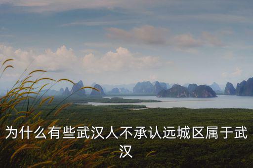 為什么有些武漢人不承認遠城區屬于武漢