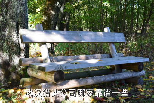 武漢詩邁醫藥獵頭公司怎么樣,武漢獵頭公司哪家更專業