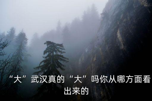 “大”武漢真的“大”嗎你從哪方面看出來的