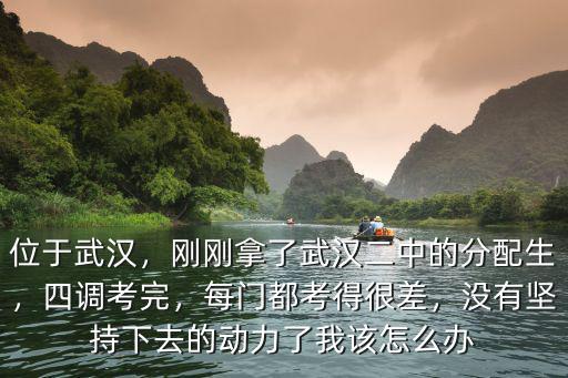 位于武漢，剛剛拿了武漢二中的分配生，四調考完，每門都考得很差，沒有堅持下去的動力了我該怎么辦