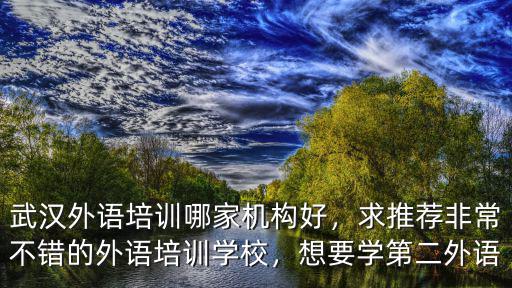 武漢外語培訓哪家機構好，求推薦非常不錯的外語培訓學校，想要學第二外語