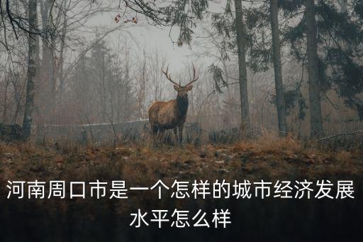周口市城市社會經濟調查隊怎么樣,經濟發展水平怎么樣