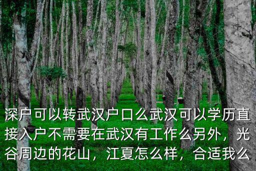 深戶可以轉(zhuǎn)武漢戶口么武漢可以學(xué)歷直接入戶不需要在武漢有工作么另外，光谷周邊的花山，江夏怎么樣，合適我么