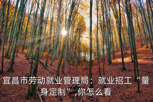 宜昌市勞動就業管理局怎么樣,宜昌市勞動就業管理局