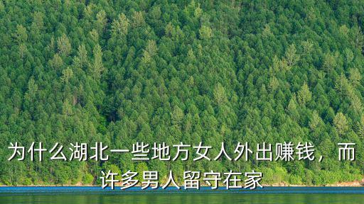 為什么湖北一些地方女人外出賺錢，而許多男人留守在家
