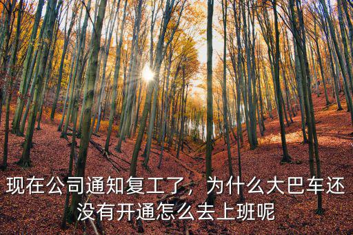 現(xiàn)在公司通知復(fù)工了，為什么大巴車還沒有開通怎么去上班呢