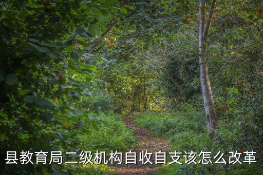 湖北省縣機構改革文化局怎么樣改,縣公用事業局怎么改革