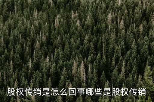 湖北主動股權(quán)投資怎么樣,怎樣玩轉(zhuǎn)股權(quán)投資