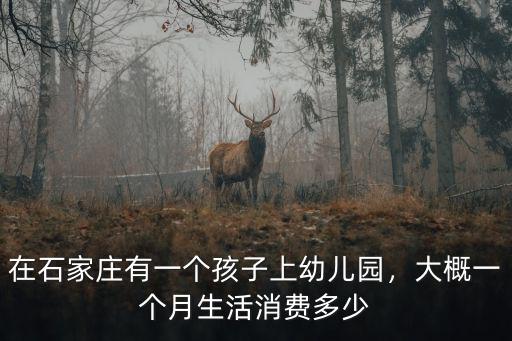 在石家莊有一個(gè)孩子上幼兒園，大概一個(gè)月生活消費(fèi)多少