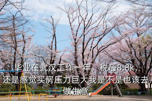 畢業在武漢工作一年，稅后8.8k，還是感覺買房壓力巨大我是不是也該去做生意