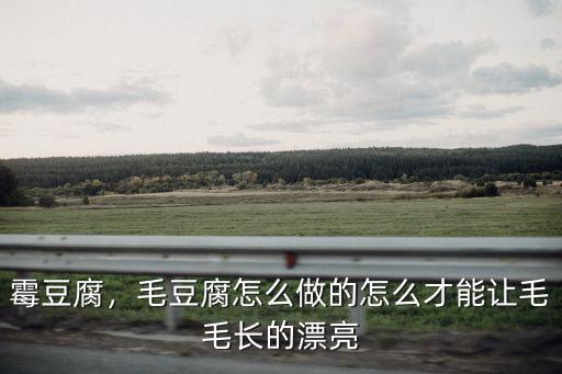 霉豆腐，毛豆腐怎么做的怎么才能讓毛毛長的漂亮