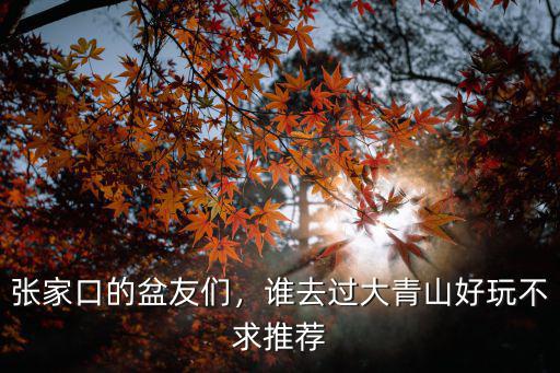 張家口大青山門票多少,張家口的盆友們