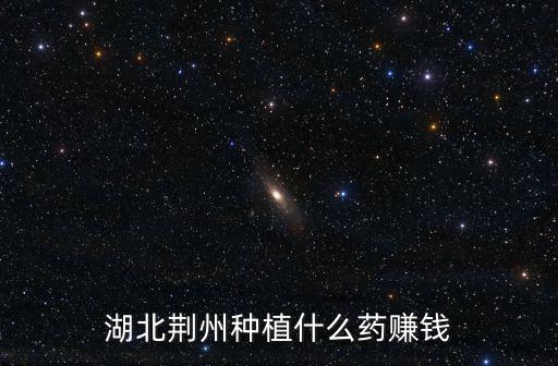 荊州新手怎么賺錢,荊州鍋盔賺錢嗎