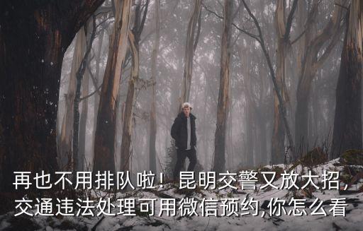 再也不用排隊啦！昆明交警又放大招，交通違法處理可用微信預約,你怎么看