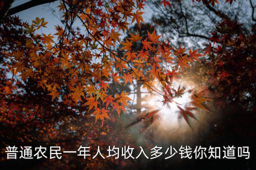 普通農民一年人均收入多少錢你知道嗎