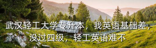 武漢輕工大學專升本，我英語基礎差，沒過四級，輕工英語難不