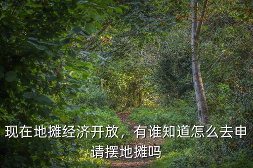 咸寧市擺地攤怎么申請,有誰知道怎么去申請擺地攤嗎