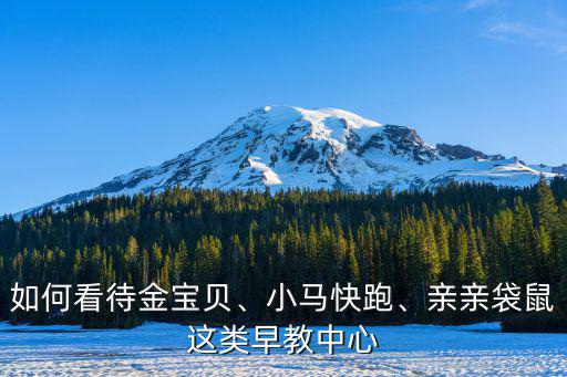 如何看待金寶貝、小馬快跑、親親袋鼠這類早教中心