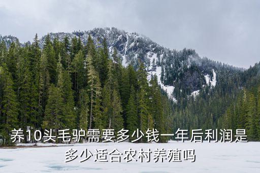 河北省養驢100頭補貼多少錢,養10頭毛驢需要多少錢