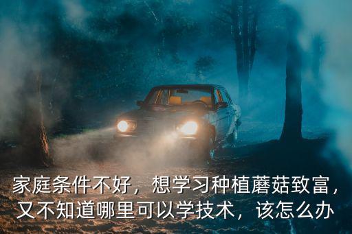 家庭條件不好，想學(xué)習(xí)種植蘑菇致富，又不知道哪里可以學(xué)技術(shù)，該怎么辦