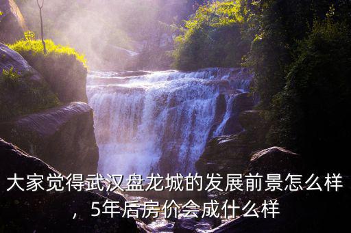 大家覺得武漢盤龍城的發展前景怎么樣，5年后房價會成什么樣