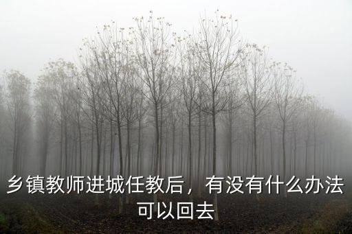 武漢鄉(xiāng)鎮(zhèn)教師怎么進(jìn)城,鄉(xiāng)鎮(zhèn)教師進(jìn)城任教后