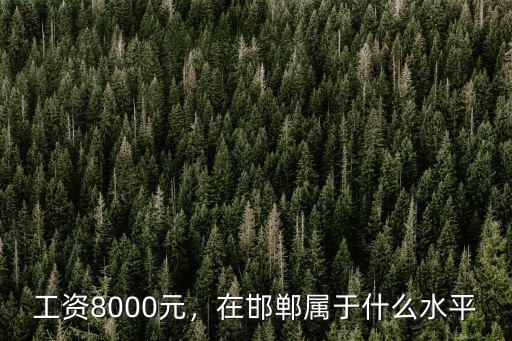 工資8000元，在邯鄲屬于什么水平