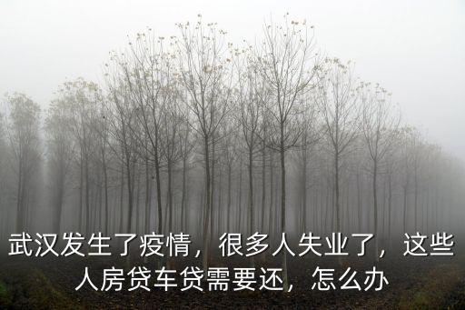 武漢發生了疫情，很多人失業了，這些人房貸車貸需要還，怎么辦