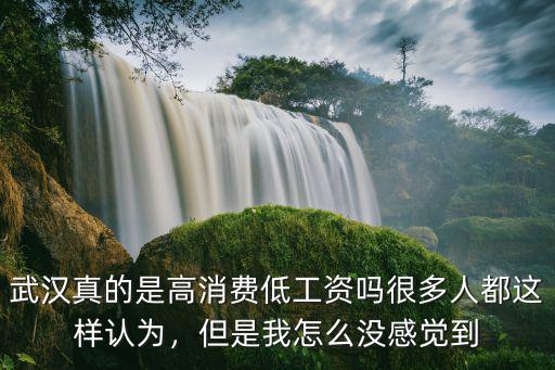 武漢真的是高消費低工資嗎很多人都這樣認為，但是我怎么沒感覺到