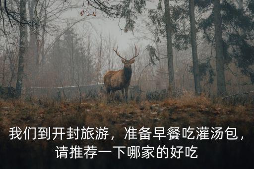 我們到開封旅游，準(zhǔn)備早餐吃灌湯包，請推薦一下哪家的好吃