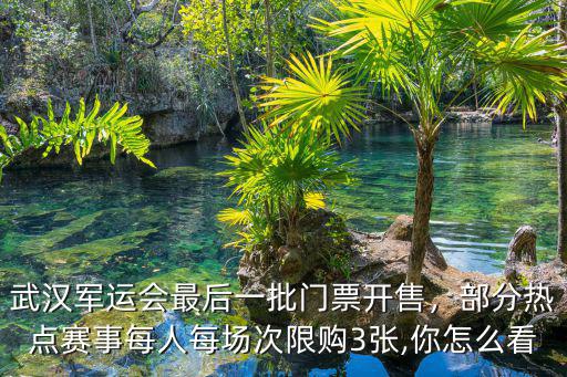 武漢軍運會網上怎么購票,軍運會為什么會在武漢