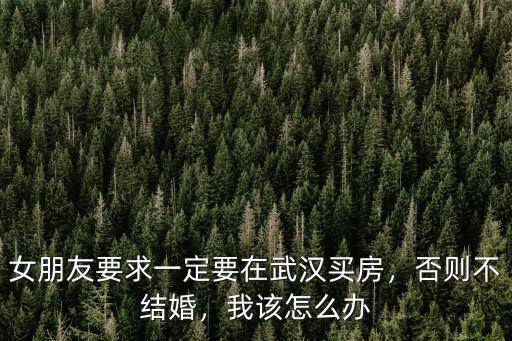 女朋友要求一定要在武漢買房，否則不結婚，我該怎么辦