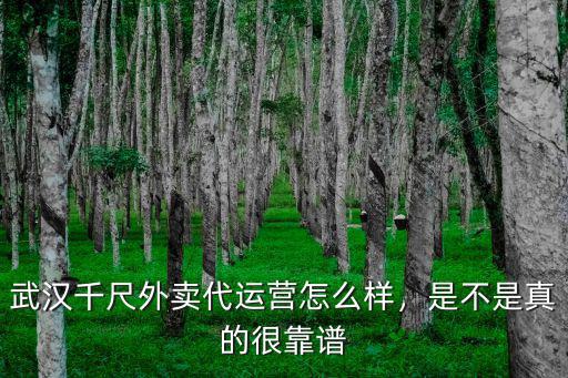 武漢千尺外賣代運營怎么樣，是不是真的很靠譜