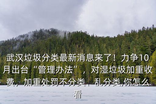 武漢垃圾分類最新消息來了！力爭10月出臺“管理辦法”，對濕垃圾加重收費，加重處罰不分類、亂分類,你怎么看